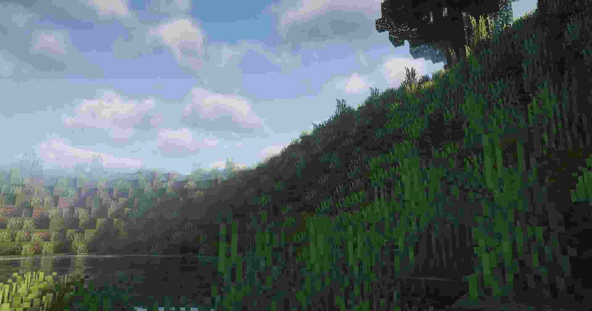 ???